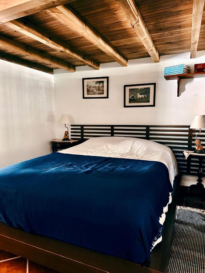 辛特拉Casa Girassol With A Beautiful Private Pool And Garden别墅 外观 照片