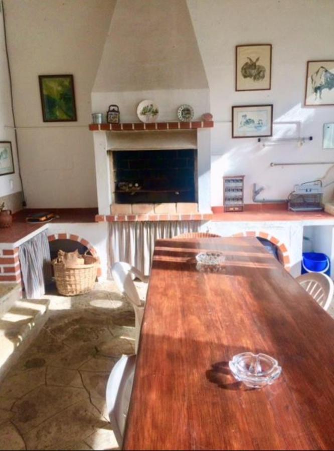 辛特拉Casa Girassol With A Beautiful Private Pool And Garden别墅 外观 照片